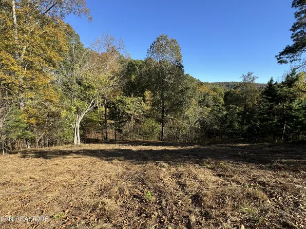 3 Button Buck Ln Lot 3, La Follette, TN 37766