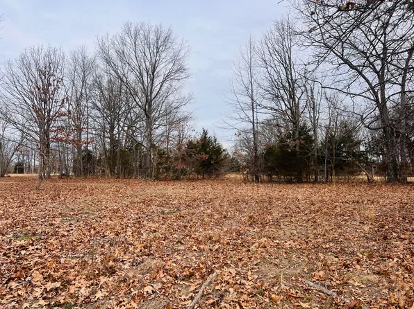 6494 S State Highway Vv, Rogersville, MO 65742