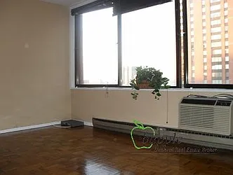 Rented by Bapple
