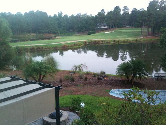 Living Room window view 