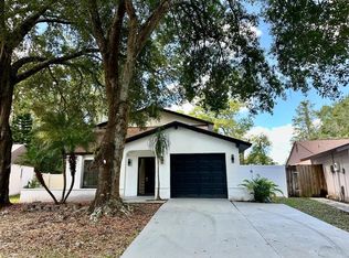 16318 Caliente Pl, Tampa, FL 33624