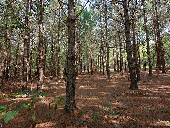 5th image of 15 Morrison Rd Lot 3