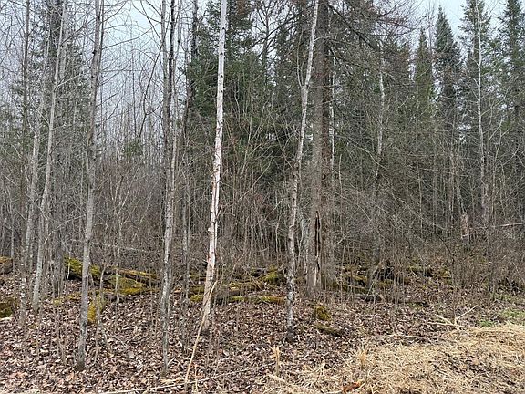 4th image of N Little Turtle Lake Rd