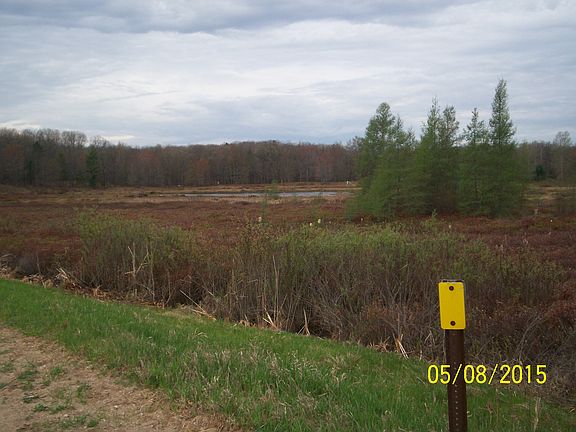 3rd image of 5532 Parkwoods Dr