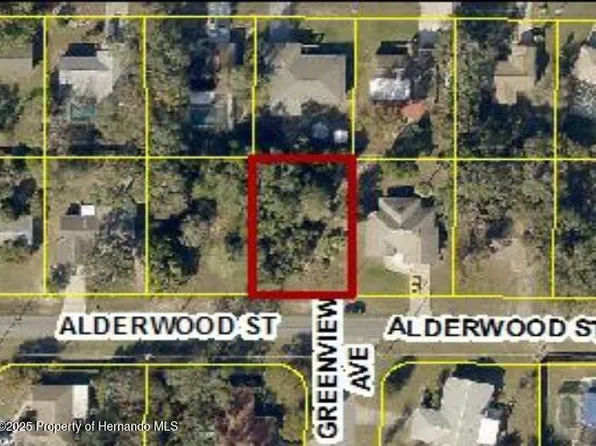 0 Alderwood, Spring Hill, FL 34606