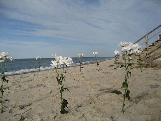 Dr. Lords Beach