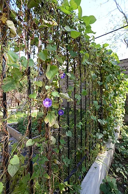 Rented by Miron Realty Group | media 106