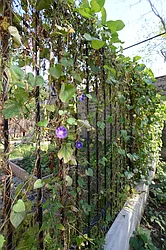 Rented by Miron Realty Group