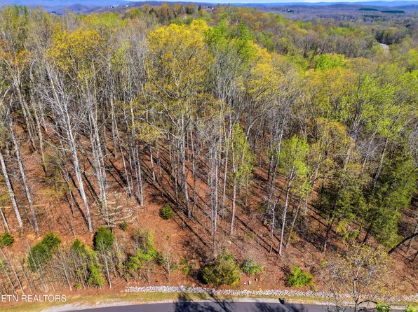 141 E Shore Dr, Rockwood, TN 37854