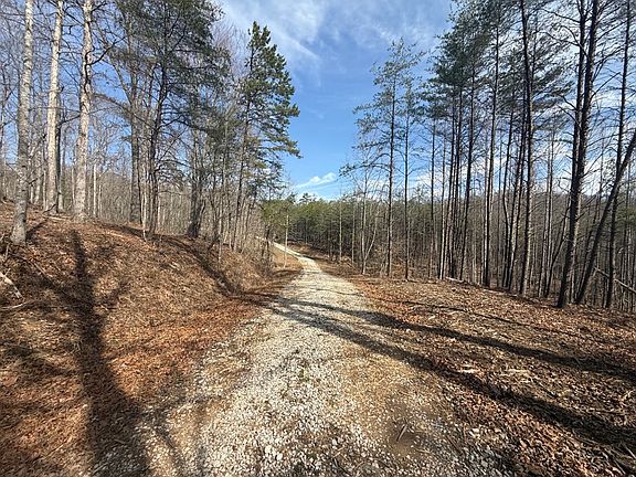 The gravel road leading along the front east side of the property