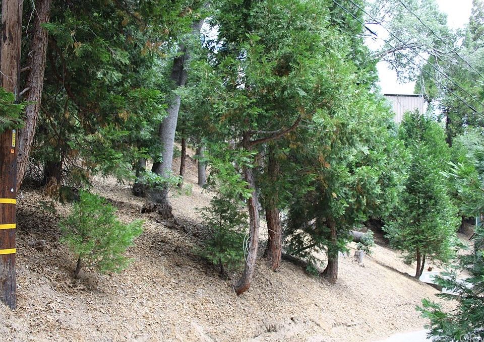 1st image of 0 Silver Spruce Dr
