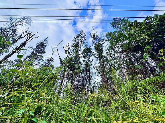 4th image of Plumeria Rd Lot 37