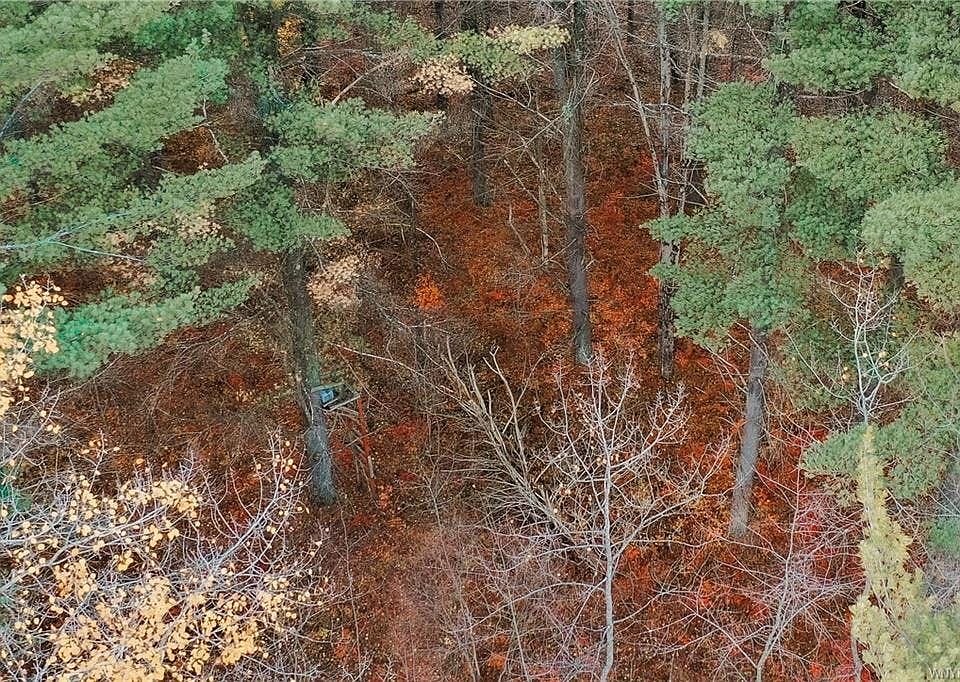 1st image of 0 Smith Rd