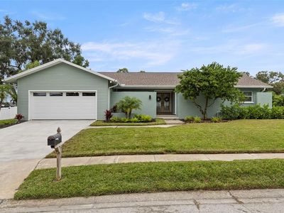 715 Sandy Hook Rd, Palm Harbor, FL, 34683