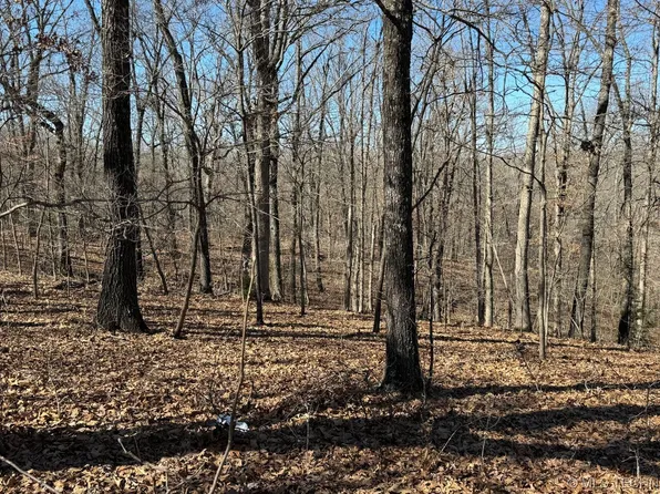 5690 Roger Ridge Rd, Proctor, OK 74457
