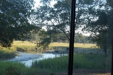 View from Dining Room