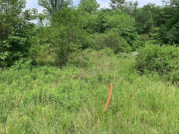 4th image of Greasy Creek Rd
