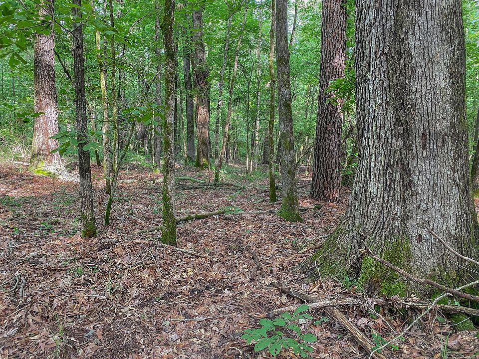 1st image of 1286 County Road 3318 Lot Wp001