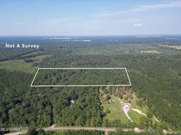 Homer Ladner Rd, Poplarville, MS 39470
