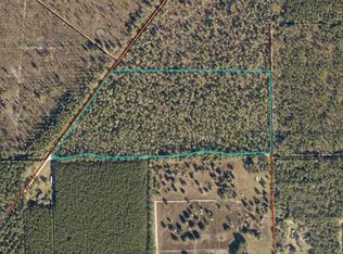 Vacant Se River Rd, Lee, FL 32059
