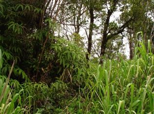 Wailele St LOT 48, Mountain View, HI 96771