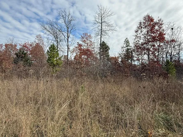 000 Forest Road 3169, Winona, MO 65588