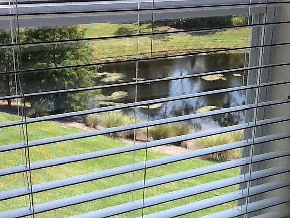 view from living room