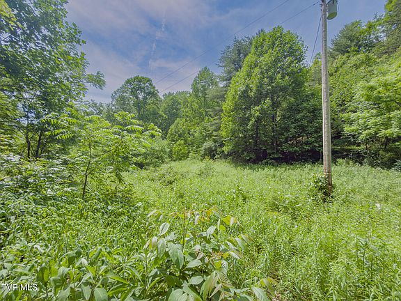 3rd image of 807 Wyatt Hollow Rd