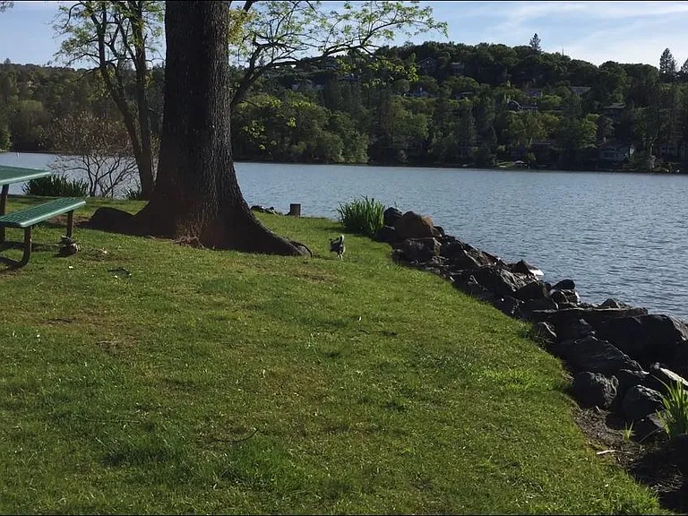 Lake beach