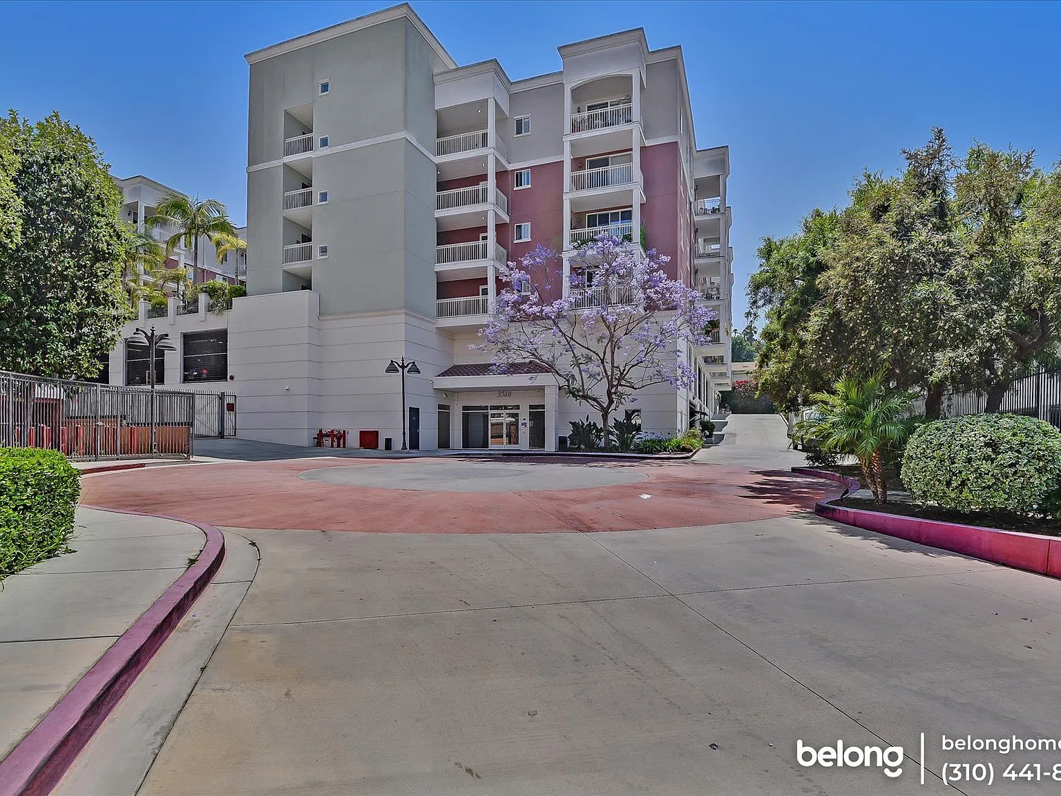 2 bed, 2.0 bath, 1000 sqft, $2,695 — Photo 2