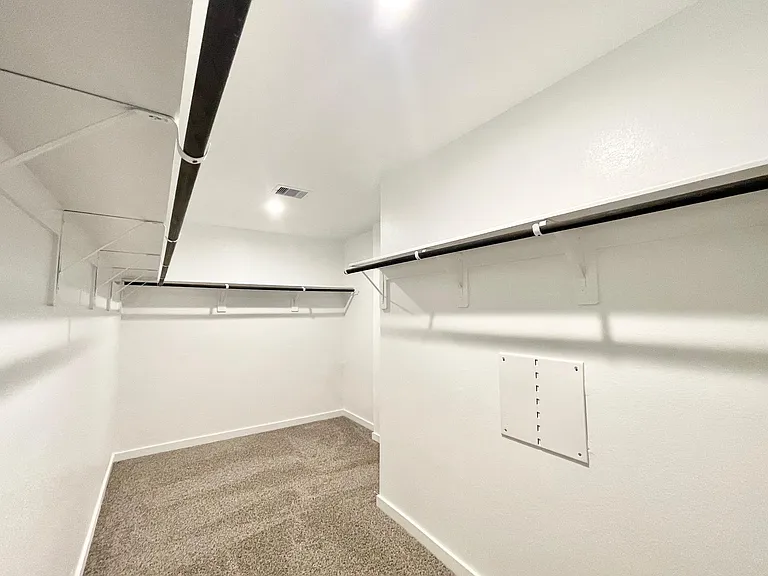 30007 Foxtail Pine Ct — Photo 19