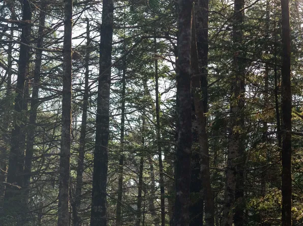 Maple Dr Lot 13, Queens, NS B0T 1K0