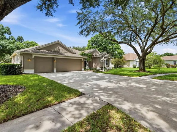 13756 DOWLING LANE, ODESSA, FL 33556
