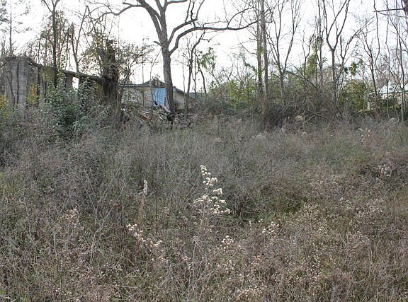 4th image of 735 E Buena Vista Ave