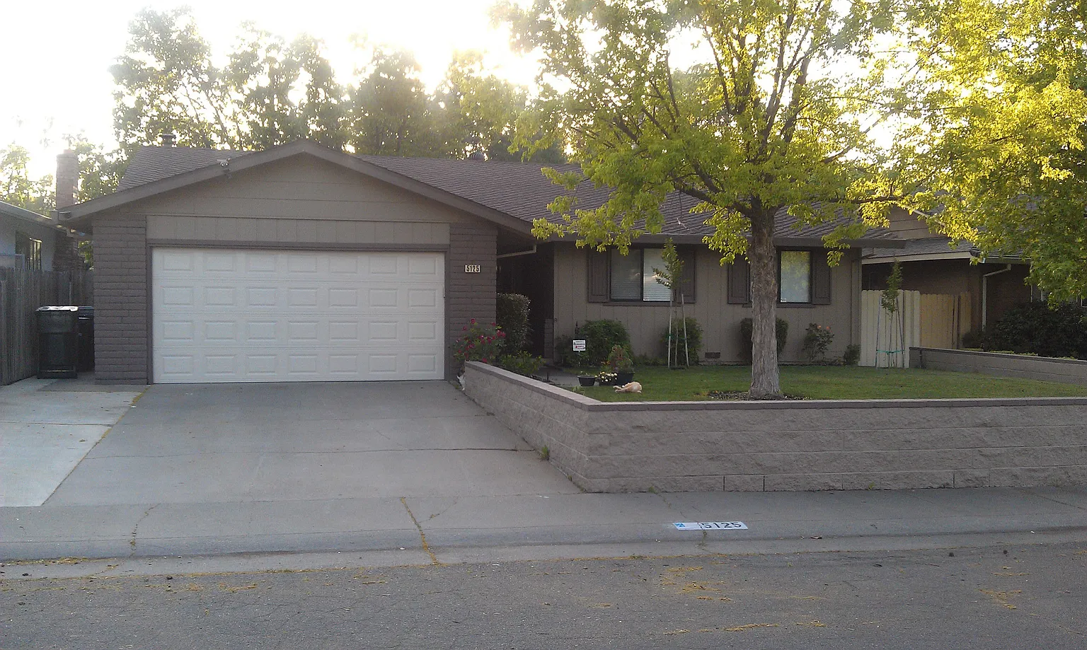 5125 Papaya Dr photo 1