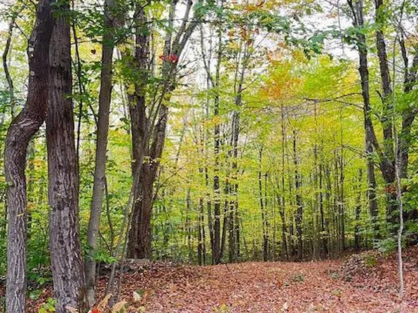 Tbd Alpine Drive, Bovina, NY 13740