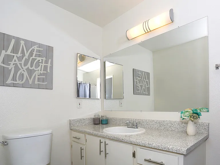 Main Bathroom displaying white theme and mirrored walls