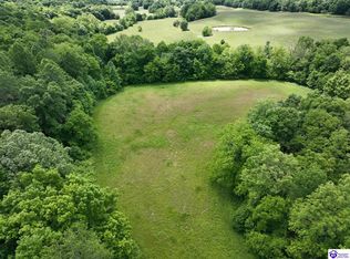 5579 Falls Of Rough Rd, Caneyville, KY 42721