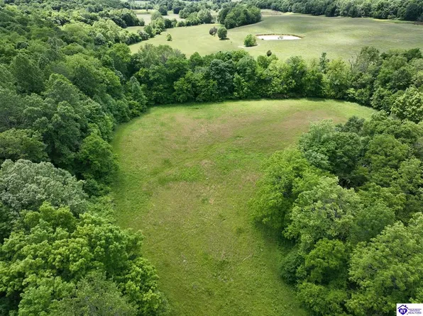 5579 Falls Of Rough Rd, Caneyville, KY 42721