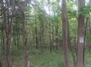 Roloson Hill Rd, Beaver dams, NY 14864