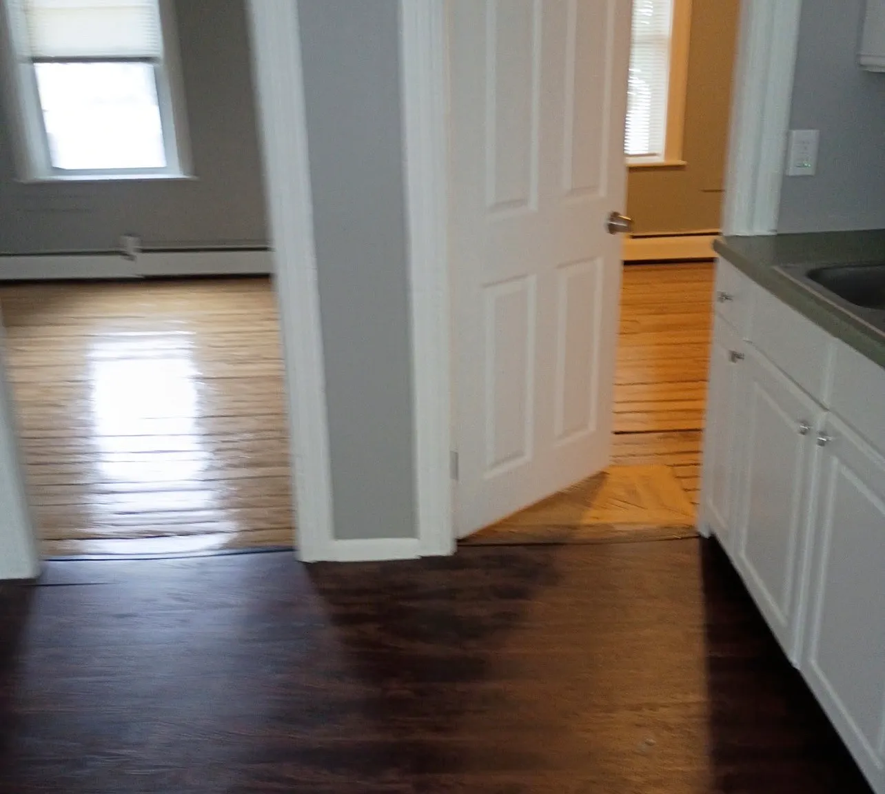 1 bed, $1,150 — Photo 4