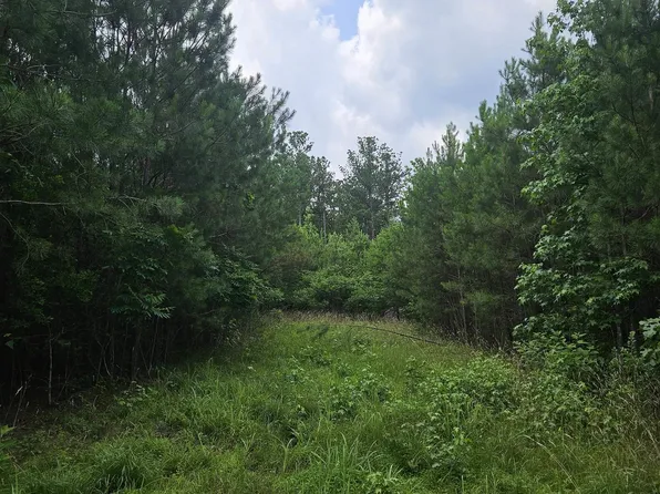 1150 County Road 865, Collinsville, AL 35961