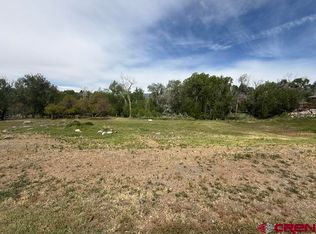 740 SE Stonebridge Drive, Cedaredge, CO 81413
