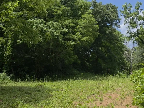 0 Rock Springs Rd, Ethridge, TN 38456