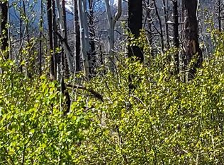 1617 Kopf Lane, Fort Garland, CO 81133