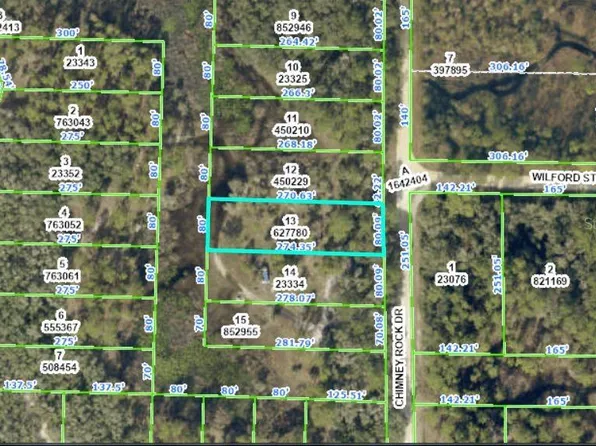Chimney Rock Dr #13, Webster, FL 33597