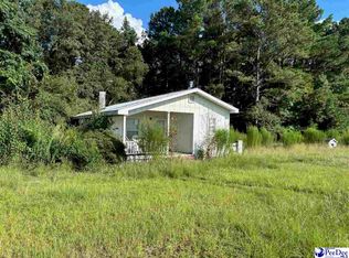 1222 N Jones Rd, Olanta, SC 29114