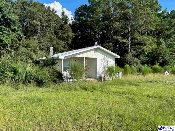 1222 N Jones Rd, Olanta, SC 29114