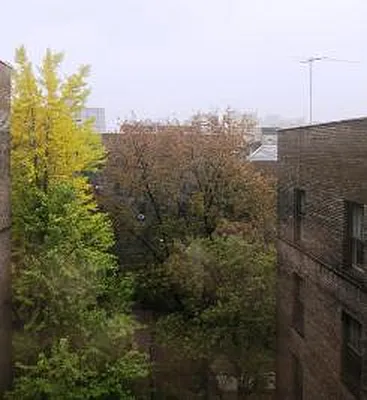 Rented by Corcoran | media 23