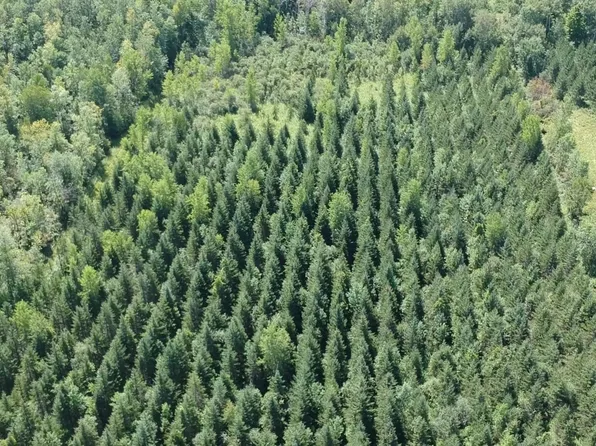 State Highway 22, Oconto, WI 54153